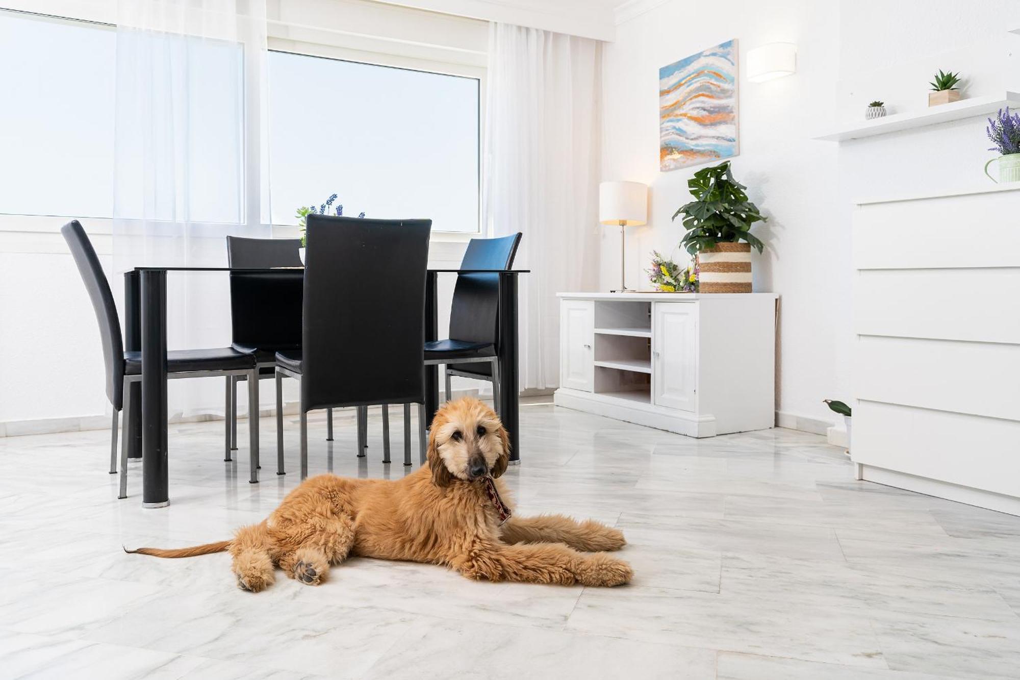 Monko Bora Bora Appartement Benalmádena Buitenkant foto